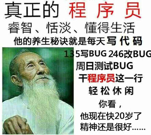 程序员大爷图片