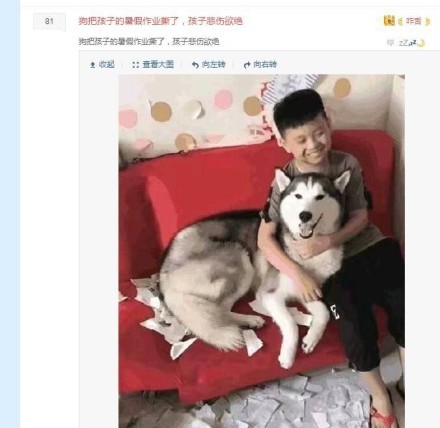 狗把暑假作业撕了，孩子悲痛欲绝搞笑（kaihuaidaxiao）图片
