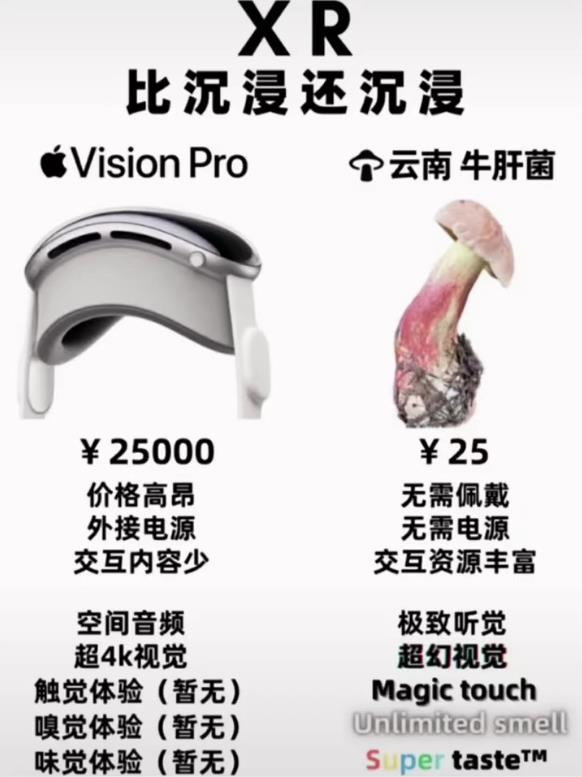 云南牛肝菌vs苹果vision pro：比XR还沉浸的超幻体验