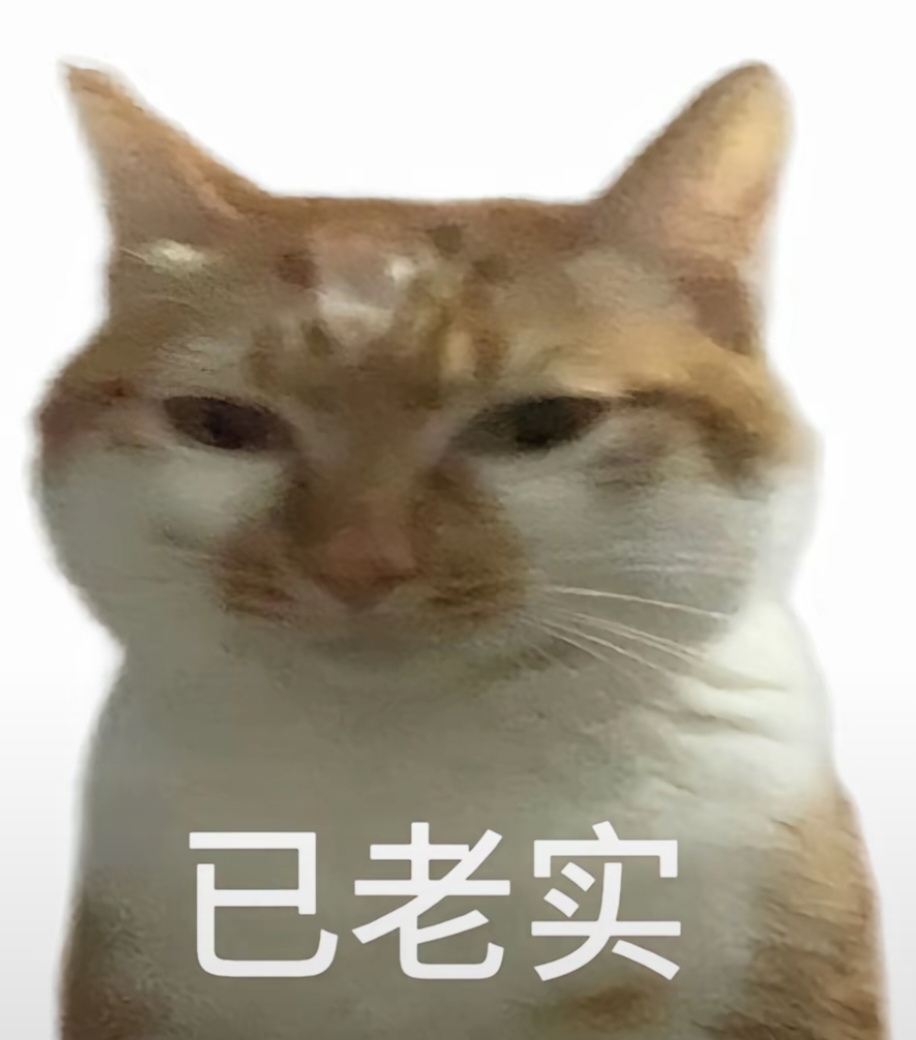 猫咪已老实表情包_猫咪无语呆住